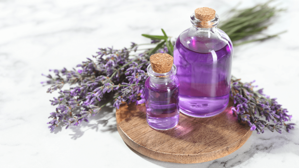 Homemade lavender syrup in a glass jar with dried lavender buds, used for tea, coffee, and herbal drinks