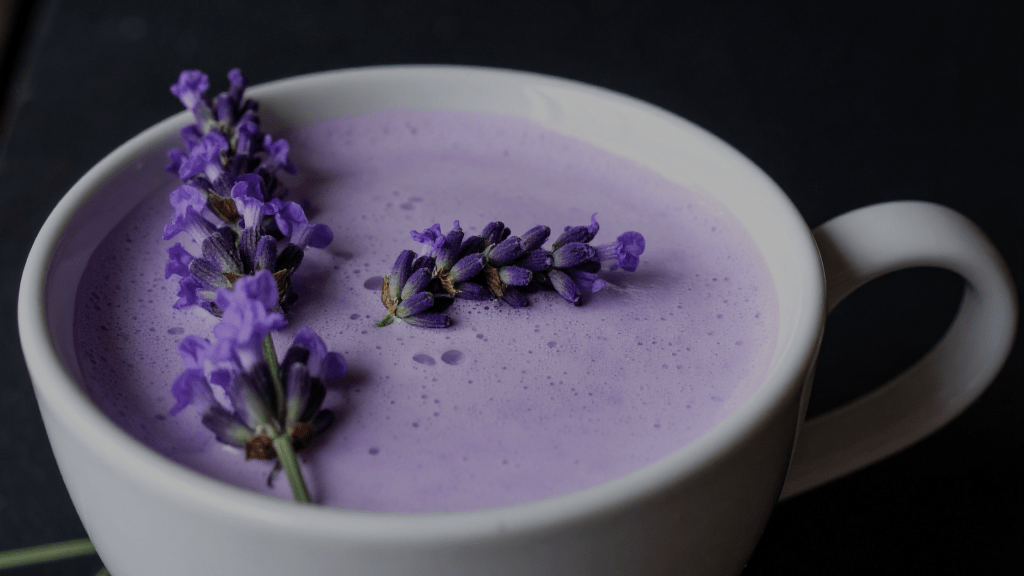 Lavender flowers at night with soft purple tones, representing calming herbal sleep support