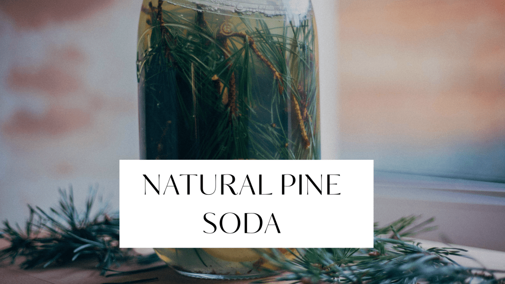 Natural pine soda in a glass bottle with forest background and herbal drink styling